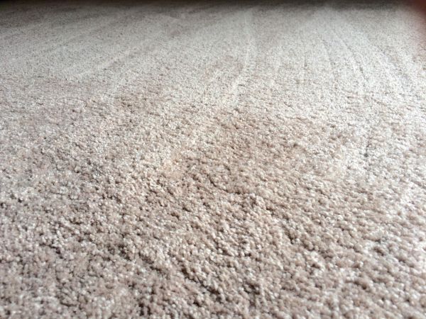 Plush Carpet Installation in Corona